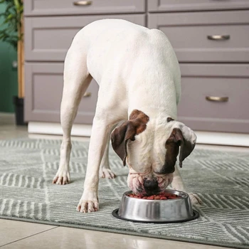 Миска для собак из нержавеющей стали с резиновой основой для еды и воды, контейнер для корма для домашних животных, идеальный выбор миски для собак малого / среднего /большого размера.