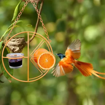 Оранжевая Кормушка Подвесная Кормушка для птиц Наружная Клементиновая кормушка для птиц
