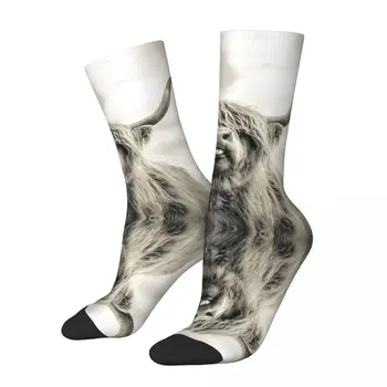 Чулки All Seasons Crew, дерзкие носки Highland Cow, длинные носки в стиле харадзюку в стиле хип-хоп, аксессуары для мужчин и женщин, подарок на день рождения
